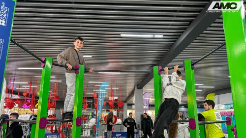 IMG 1755