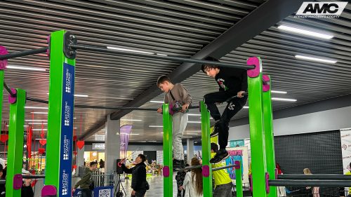 IMG 1782