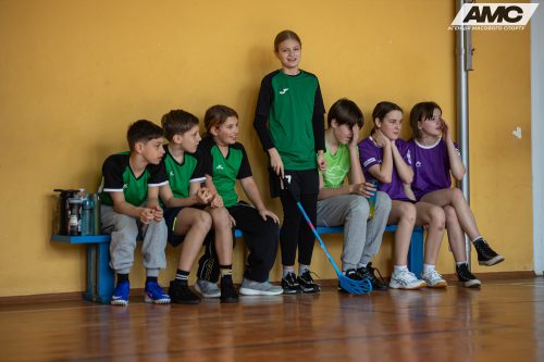 IMG 3582