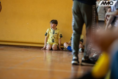 IMG 8952